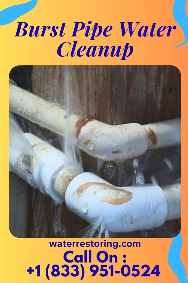 Burst Pipe Water Cleanup in Ashland, PA