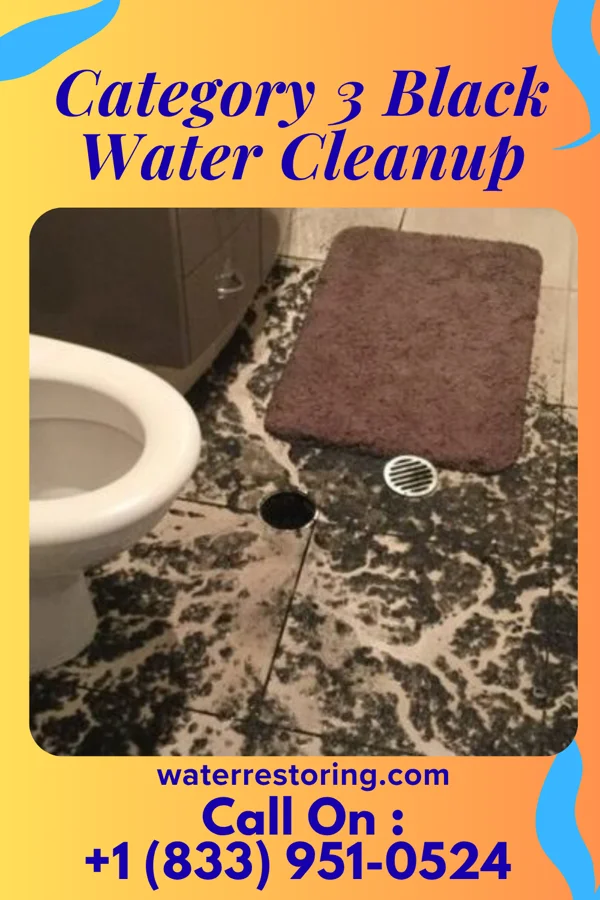 Category 3 Black Water Cleanup in Ashland, PA