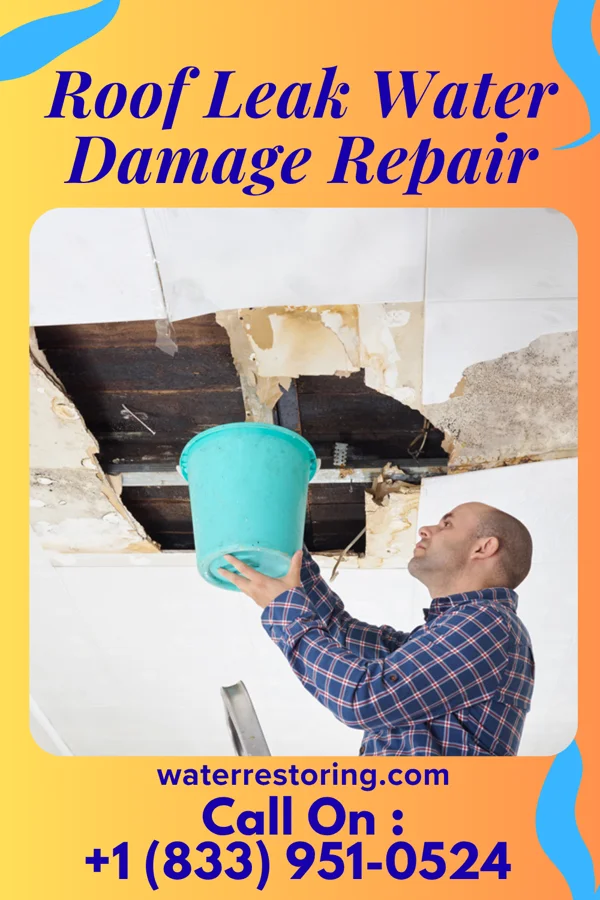 Roof Leak Water Damage Repair in Ashland, PA