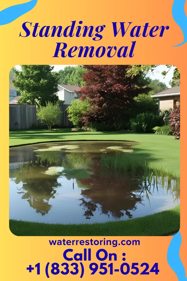 Standing Water Removal in Ashland, PA